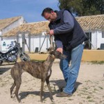 Paca in Spanien